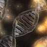 Ciencia en La Brújula: Una nueva forma de crear moléculas