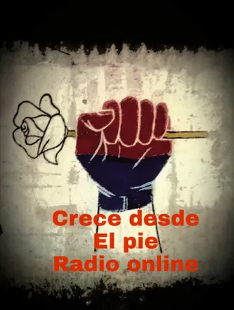 CRECE DESDE EL PIE RADIO ONLINE