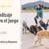 Descubre Como Aprenden Los Perros