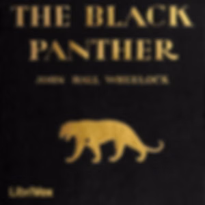 Black Panther, The by John Hall Wheelock (1886 - 1978)