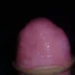 SoloPerreoDomKing