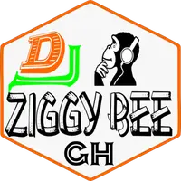 Dj Ziggy Bee Pro