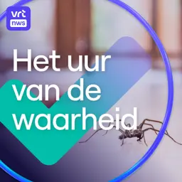 Misvattingen over sekswerk. En mag je een spin buiten zetten?