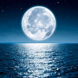 LUNA LINDA DE LA NOCHE