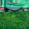Spring Lawn Care Advice: Leave It Alone! | You Bet Your Garden