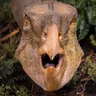 The day the dinosaurs died