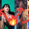 Nueva Exponente “La ExoticaRD” Porque Yomél Terminó Con la PERVERSA, Bulova , Video Bailando En la REDES!