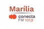 Rádio Conecta 101.9 FM