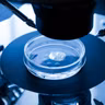 World IVF Day - what is your experience?