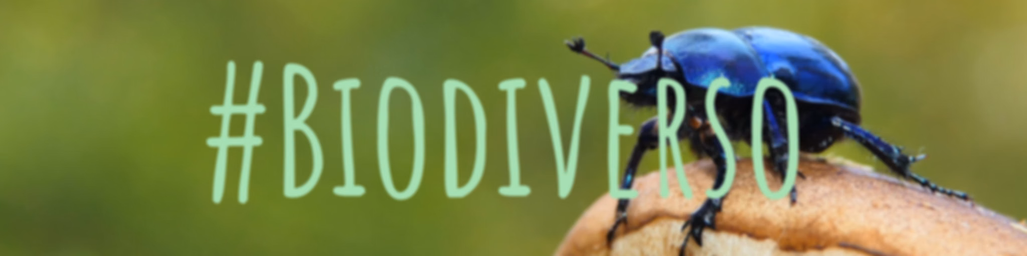 #Biodiverso