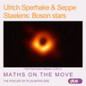 Ulrich Sperhake and Seppe Staelens: Boson stars