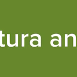 abertura animes