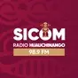 SICOM Huauchinango 98.9  - XHNGO