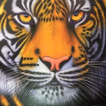 Tiger Radio