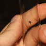 Ticks Are a Tenacious Trouble! | You Bet Your Garden