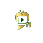 AVENOR RADIO