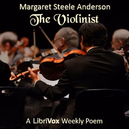 Violinist, The by Margaret Steele Anderson (1867 - 1921)