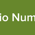 Radio Numbite