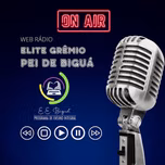 Rádio Elite Grêmio EE PEI de Biguá