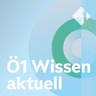 Blüten und Bienen, Nomadenspiele