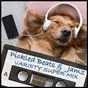 Pickled Beats and Jamz