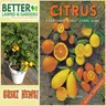 S2 Ep459: Better Lawns and Gardens - Hour 2 Citrus: A Gardeners' & Fruit Lovers' Guide June 20, 2026
