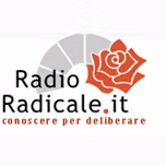 Radio Radicale diretta
