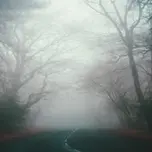 3 Historias de Terror en Bosques