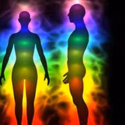 LOS CHAKRAS