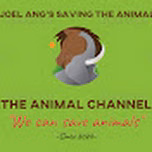 The Animal Channel