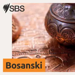 2026 Census: What you need to know to ensure you’re counted - Popis stanovništva 2026: Šta trebate znati kako biste bili obuhvaćeni popisom