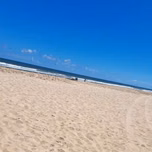 Ana catarina