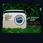 BlueHeartFmstereo