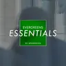 Essentials - E Bilan vun de leschte sechs Méint