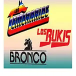 B.B.T SALTILLO
