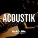 Radio Karolina - Acoustik