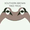 Southern Brown Tree Frog | Week of July 13th
