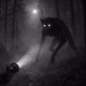 NO VAYAS SOLO AL BOSQUE | Relatos de Horror de Skinwalkers vol. 14