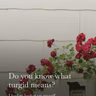Do you know what turgid means?