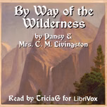 By Way of the Wilderness by Pansy (1841 - 1930) and Mrs. C. M. Livingston (1832 - 1924)
