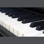 All Classical Piano Chamber Works and Concertos 配信中