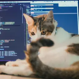 Vibe-Coding: Softwareentwicklung als Jekami
