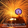 #004 Satsang Express: Od informacije do transformacije