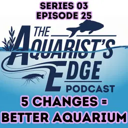 5 Simple Changes For A Healthier Freshwater Aquarium