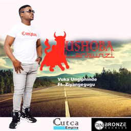 Ushoba Lenkunzi Podcast - Eps001