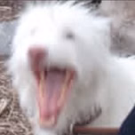 Nuubly