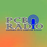 PCB Limpiar Radio