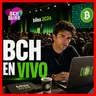 BCH Bliss 2026: Bitcoin Cash en carne y hueso • 191