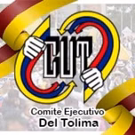 Cut regional Tolima