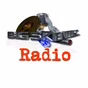 BIG SKI RADIO